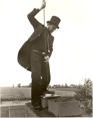 Chimney sweeping services